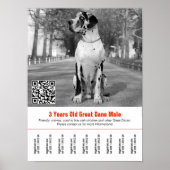 Poster modèle de flyer pour la vente de chien (Devant)