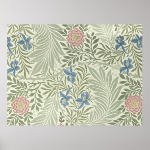 Poster Modèle de papier peint floral Larkspur de William