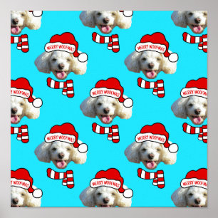 Poster Modèle de photo personnalisée de chien de Noël ave