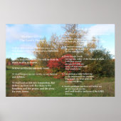 Poster Modèle d'Écriture, Psaume 23, Notre Père (Devant)