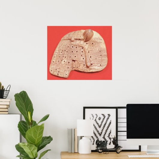 Poster Modèle du foie d'un mouton (Bureau à domicile)