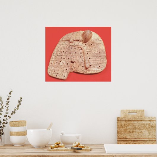 Poster Modèle du foie d'un mouton (Cuisine)