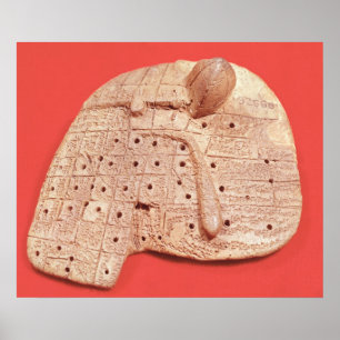 Poster Modèle du foie d'un mouton