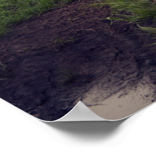 Poster Modèle "Femmes & Météo" Sur Une Route Sale Photogr (Coin)