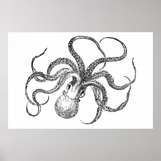 Poster Modèle Octopus vintage (Devant)