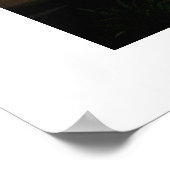 Poster Modèle T. rex (Coin)