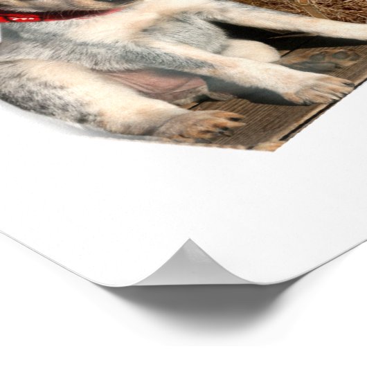 Poster modèle western (Coin)