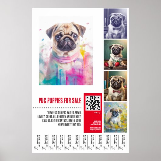 Poster Modèles d'affiche de vente de chiots Pug (Devant)