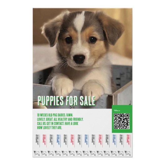 Poster Modèles de flyers pour chiots à vendre (Devant)