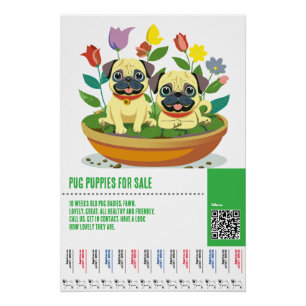 Poster Modèles de flyers pour la vente de chiots Carlin