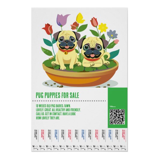 Poster Modèles de flyers pour la vente de chiots Carlin (Devant)