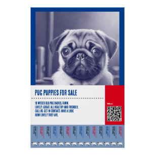 Poster Modèles de flyers pour la vente de chiots Pug