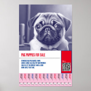 Poster Modèles de flyers pour la vente de chiots Pug