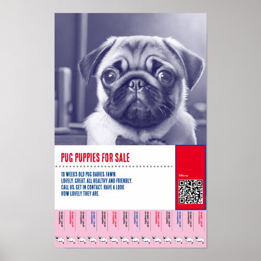 Poster Modèles de flyers pour la vente de chiots Pug (Devant)