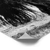 Poster Modélisation des chevaux (Coin)