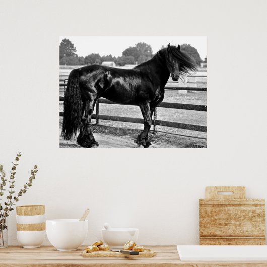 Poster Modélisation des chevaux (Cuisine)