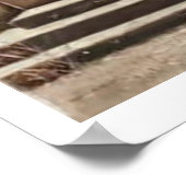 Poster Modern Cowboy Biker checking his GPS. (Coin)