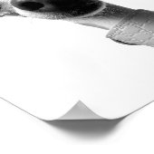 Poster Modern Custom Pet Photo | Meeko (Coin)