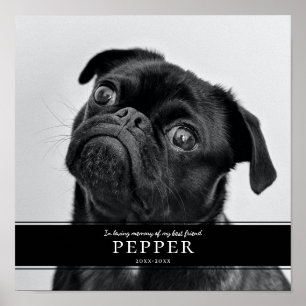 Poster Modern In Love Mémoire Animaux de compagnie photo