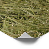 Poster Modern Photo Welcome Sign With Arched Text (Coin)