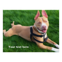 Poster moderne avec Pit bull dog sur l'herbe verte