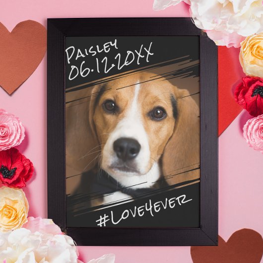 Poster Moderne Chic Élégant Simple Noir Poet Chien Keepsa