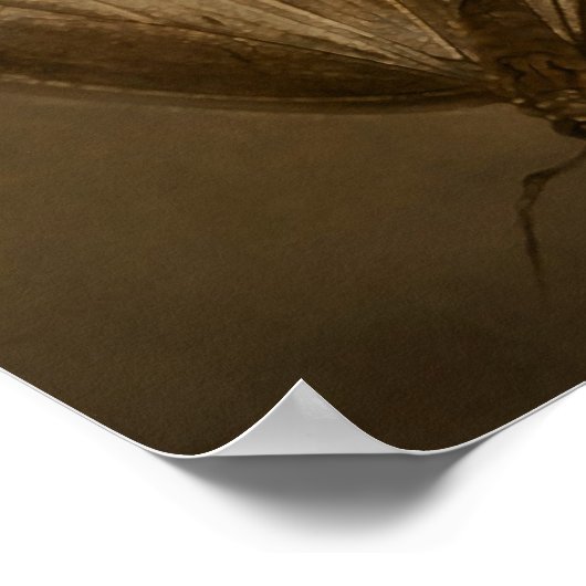 Poster Modifier (Coin)