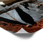 Poster Module Lunaire Apollo 17 "Challenger" & Earth (Coin)