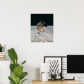 Poster Modules de commande et de service Apollo 9 (Bureau à domicile)