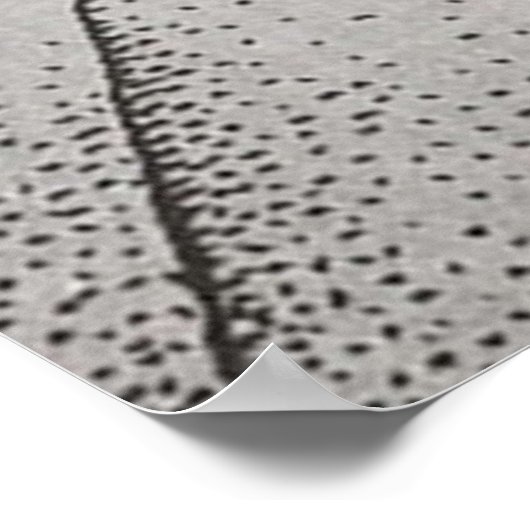 Poster Moebius Parapsychologie (Coin)