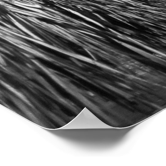 Poster moelleux (Coin)