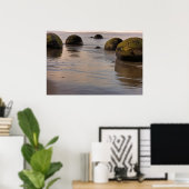 Poster Moeraki Boulders sur la plage (Bureau à domicile)