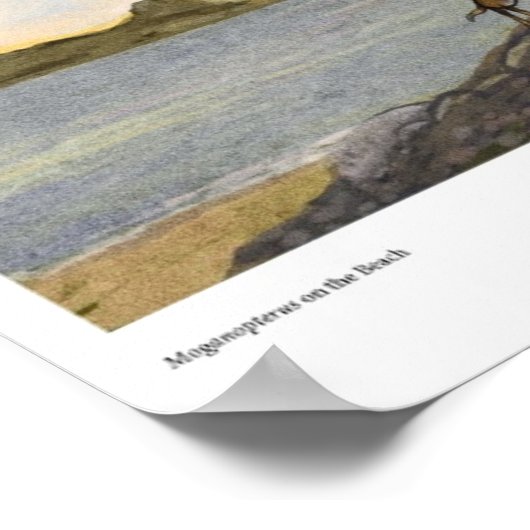 Poster Moganopterus à la plage (Coin)