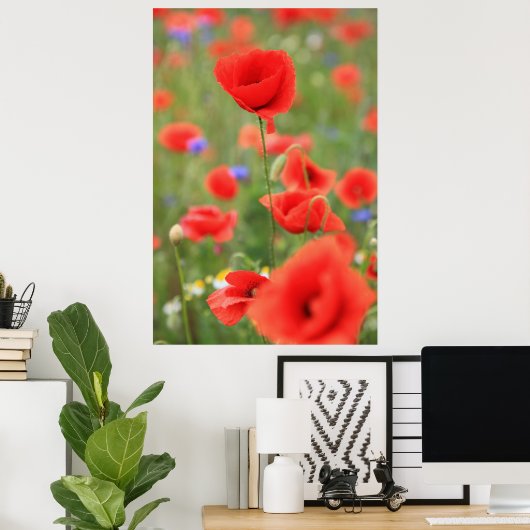 Poster Mohn 2012 (Bureau à domicile)