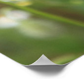 Poster Mohn 2012 (Coin)