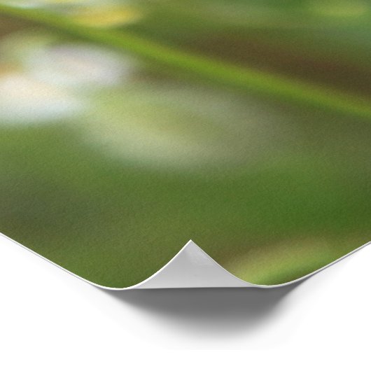 Poster Mohn 2012 (Coin)