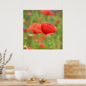 Poster Mohn 2012 2 (Cuisine)