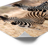 Poster Moi et maman (Coin)