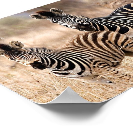 Poster Moi et maman (Coin)