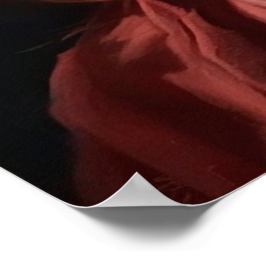 Poster Moibeal (Coin)