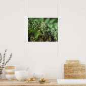 Poster Moie verte (Cuisine)