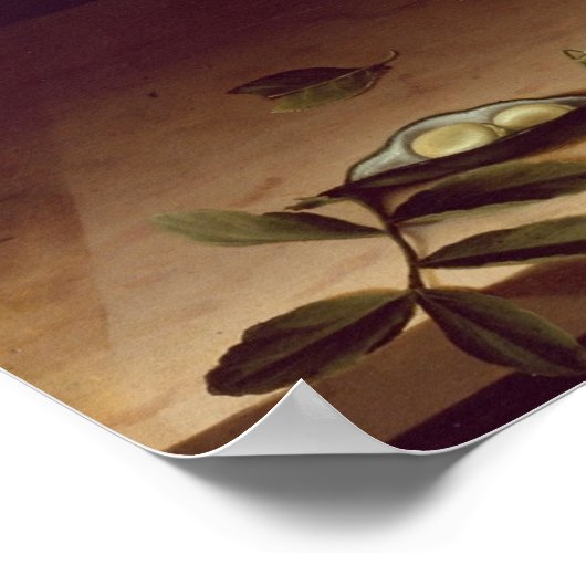 Poster Moillon - Basket Of Fruit And A Bunch Of Asparagus (Coin)