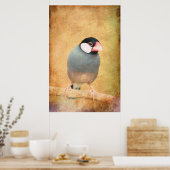 Poster Moineau de Java (Cuisine)