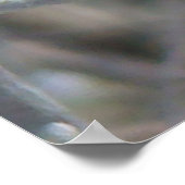 Poster Moineau domestique B24 (Coin)