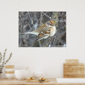 Poster Moineau domestique B24 (Cuisine)