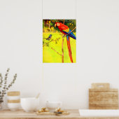 Poster moineau et perroquet (Cuisine)