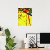 Poster moineau et perroquet (Bureau à domicile)