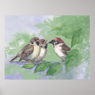Poster Moineau mère aquarelle nourrissant des poussins