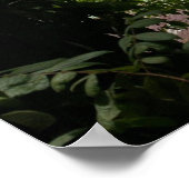 Poster Moira à l'ancre, Bahia Drake, Costa Rica (Coin)