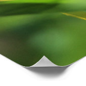 Poster Mois des colibris (Coin)